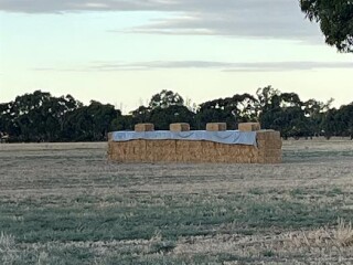 Oaten Hay for sale in Brimbago SA Lot 92692 3